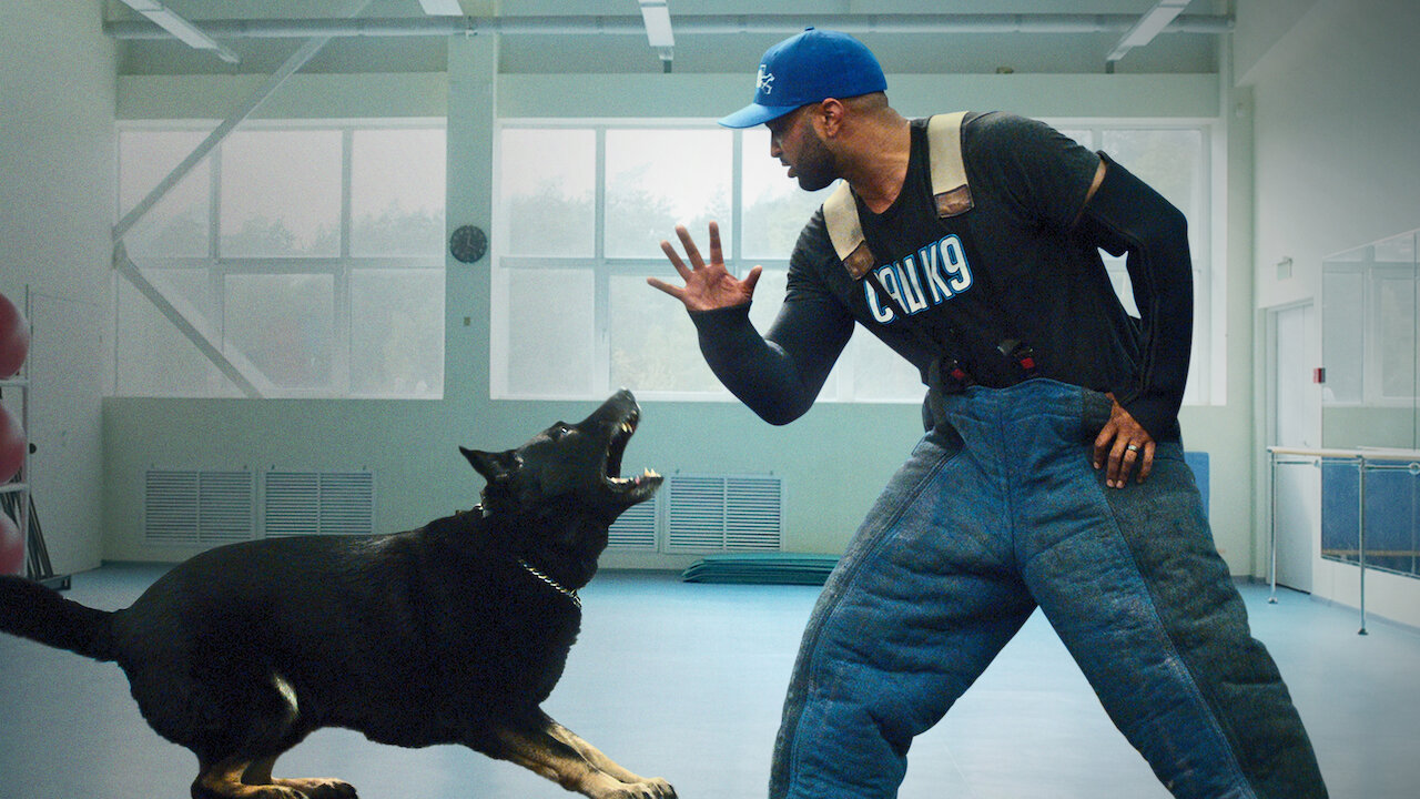 Netflix
estreno
Adiestramiento Canino
