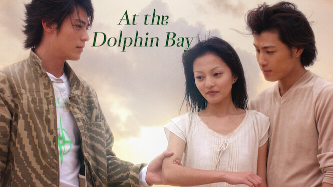 the bay 2012 netflix the bay 2012 netflix