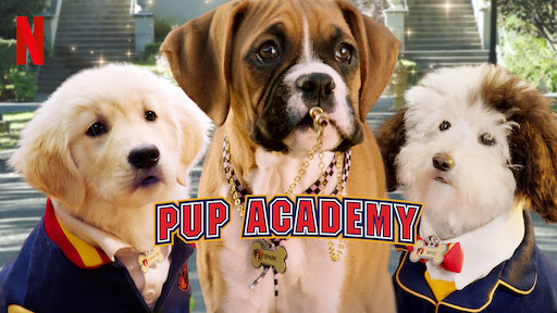 Watch pup academy online online free